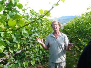 Grower Don King in vineyard.JPG